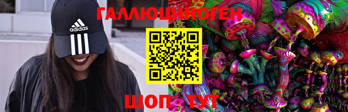 Псилоцибиновые грибы Psilocybe Кемерово