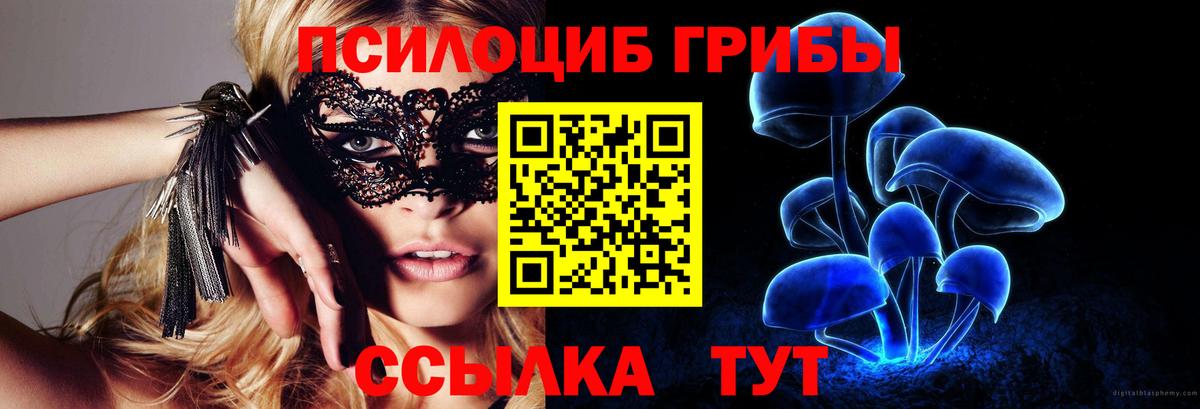 Кемерово  Галлюциногенные грибы прущие грибы  Вход с VPN  Псилоцибиновые грибы MAGIC MUSHROOMS 